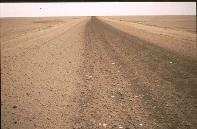Afrika932482