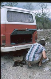 Fotoarchiv - 2981