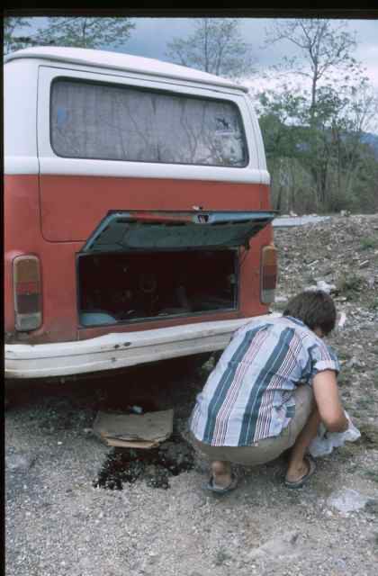 Fotoarchiv - 2981