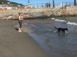 IMG_6796