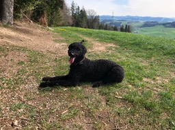 IMG_7434