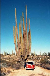 Mexiko109