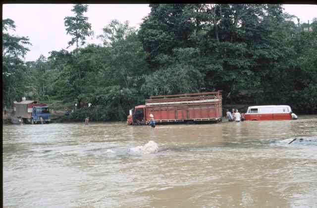 Mitam954806